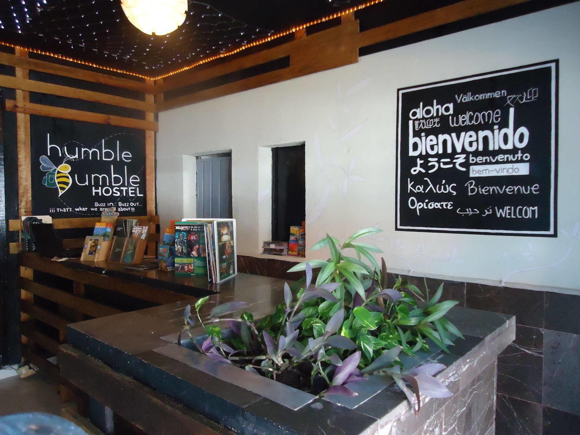 Humble Bumble Hostel Playa del Carmen Exterior foto