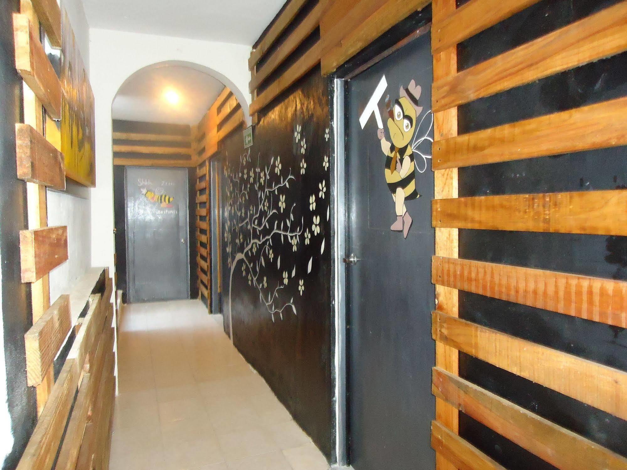 Humble Bumble Hostel Playa del Carmen Exterior foto