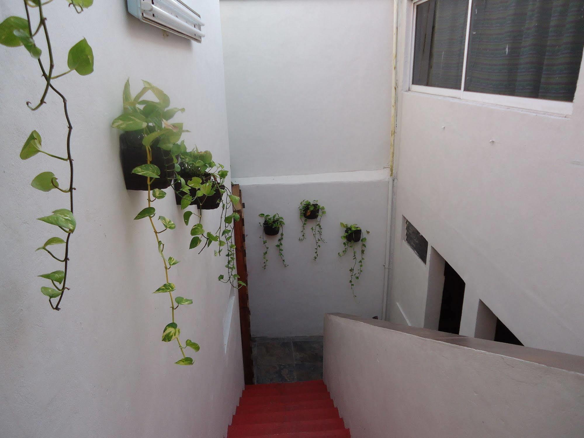 Humble Bumble Hostel Playa del Carmen Exterior foto